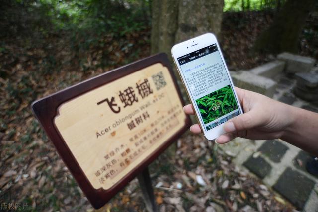丝袜足交福利网址视频 二维码原理解析教程（二维码原理解析图）