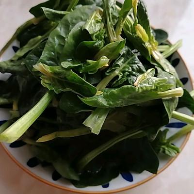 探花流出视频在线观看 凉拌菠菜和粉丝的做法，凉拌菠菜粉丝的做法_家常？
