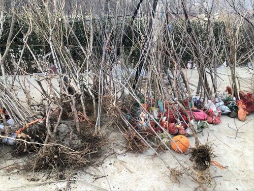 探花流出视频在线观看 小货车赶集卖什么好（适合农村赶集摆摊的小生意）