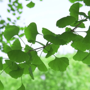 探花流出视频在线观看 大学毕业朋友圈文案简短，大学毕业朋友圈文案简短干净？