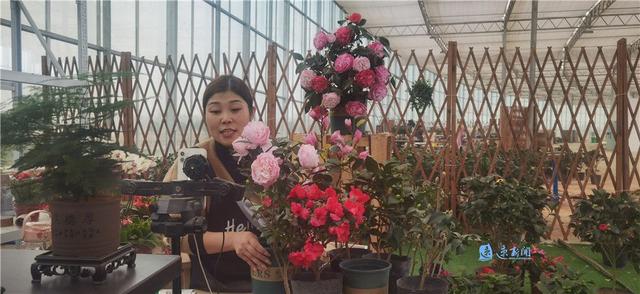 探花流出视频在线观看 电商销售主要做什么工作，电商销售主要做什么工作内容？