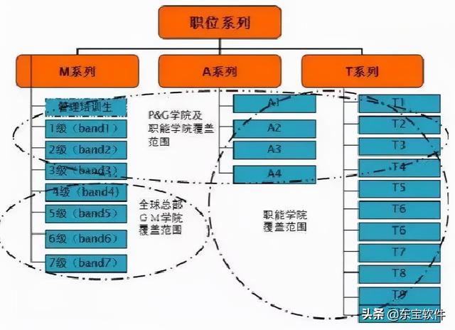 丝袜足交福利网址视频 宝洁招聘（宝洁公司招聘岗位有哪些）