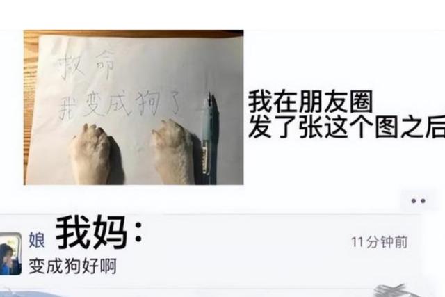探花流出视频在线观看 朋友圈屏蔽显示什么横线和点吗，朋友圈屏蔽显示什么图标？