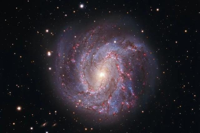 四虎免费在线观看白丝 自学摄影可以考什么证（自学摄影师怎么考证）