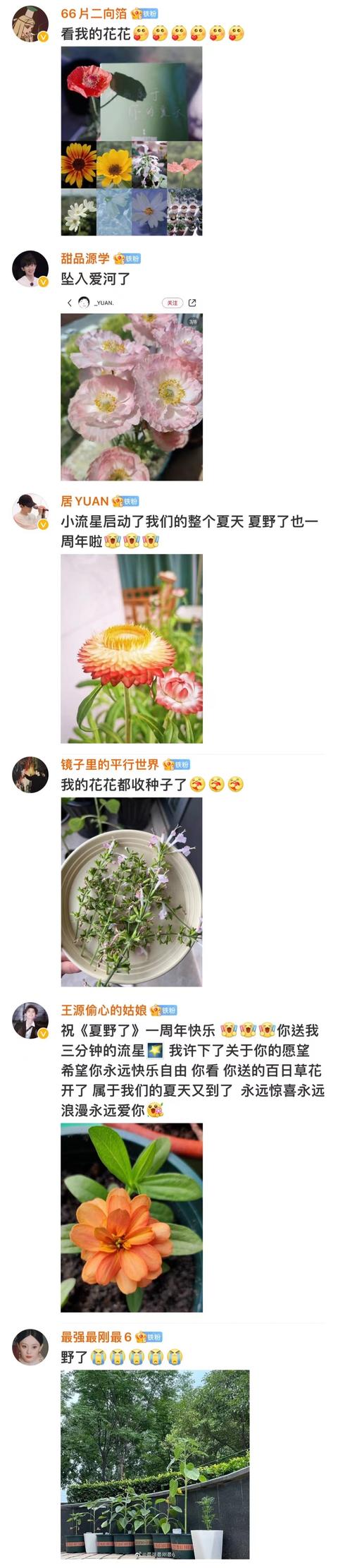 探花流出视频在线观看 王源的粉丝名应该叫什么，王源粉丝名称？