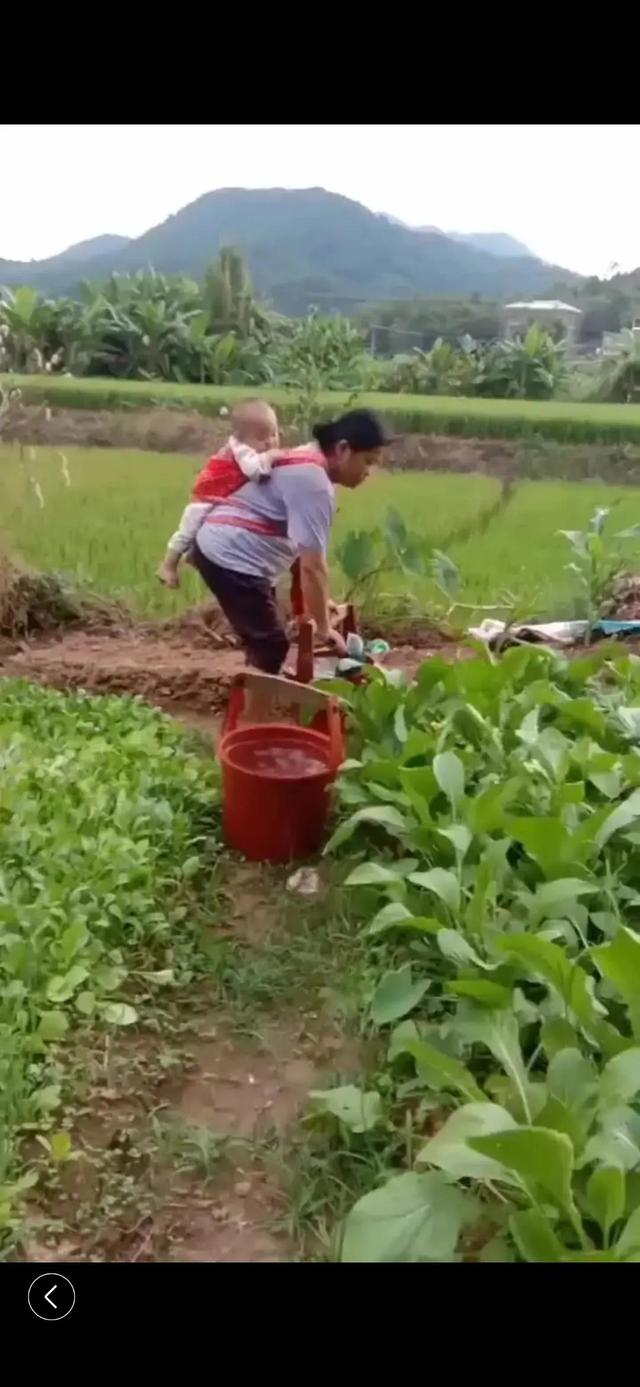 四虎免费在线观看白丝 乡土小说：嫁错了郎