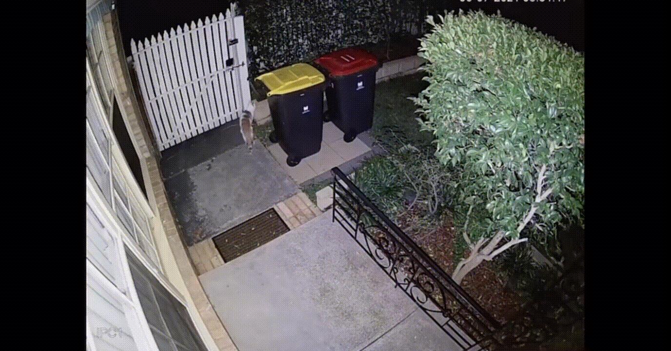 丝袜足交福利网址视频 网络摄像头合集是什么意思（网络摄像头合集是什么软件）