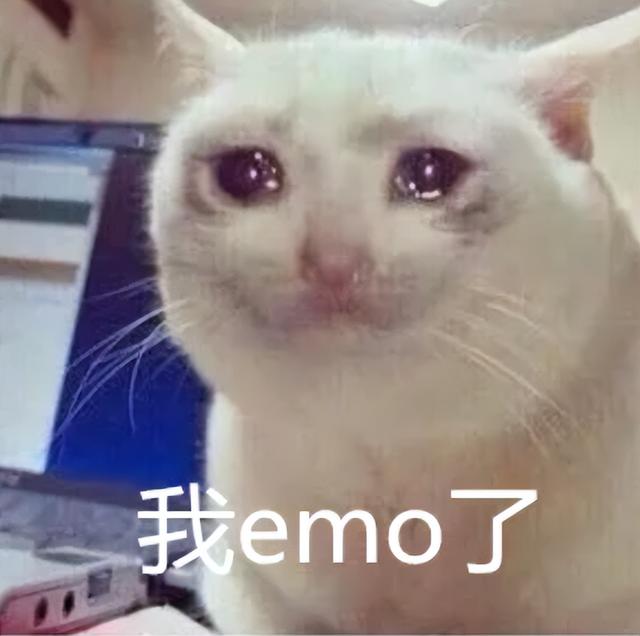 四虎免费在线观看白丝 芭比Q网络用语（芭比q了网络用语）