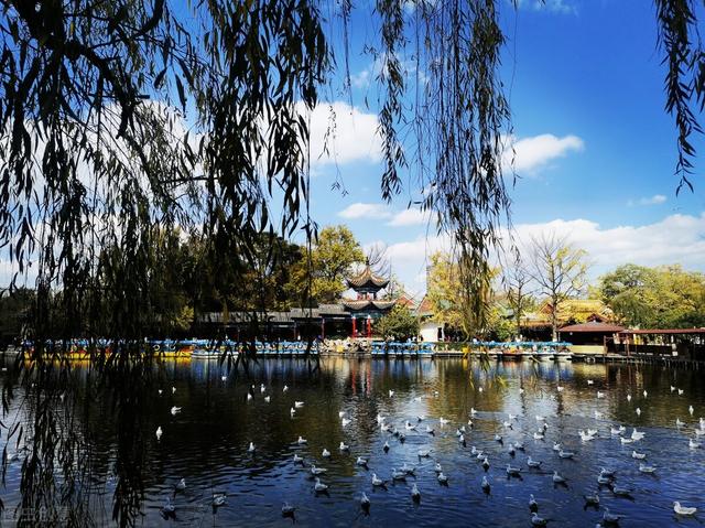 四虎免费在线观看白丝 昆明租房住哪里好，昆明最好租房的地段？