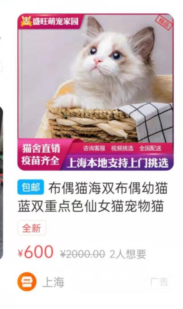 丝袜足交福利网址视频 闲鱼卖东西有没有手续费，闲鱼卖东西有没有手续费啊