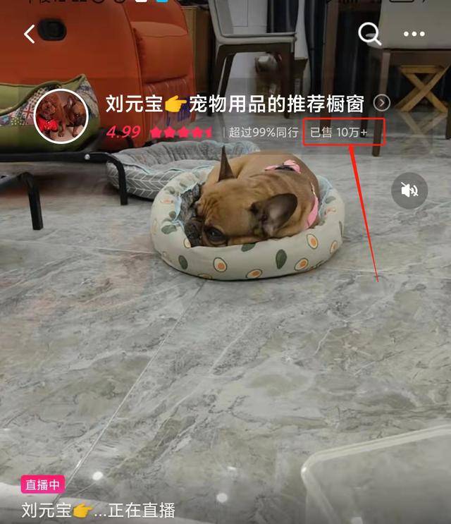 探花流出视频在线观看 适合医生做的副业有哪些（医生做什么副业比较好）