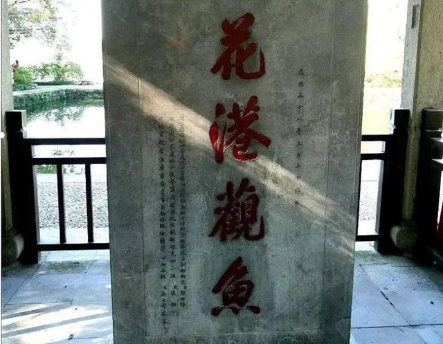 探花流出视频在线观看 杓的拼音怎么读（杓怎么读音是什么读）