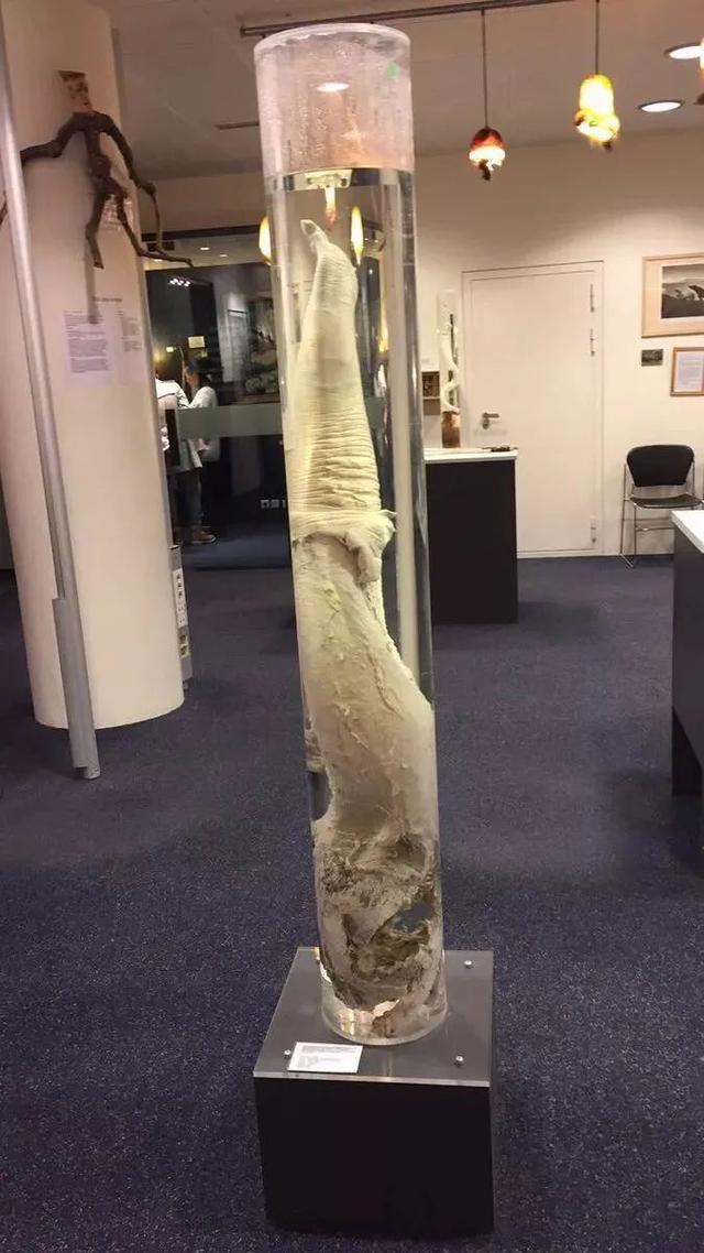 四虎免费在线观看白丝 微信地区名称最浪漫的地方爱情，微信地区浪漫的名字