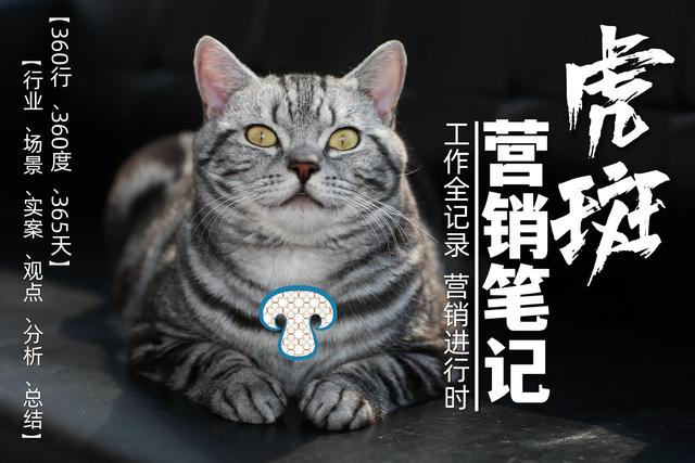 四虎免费在线观看白丝 产品代理方案范本，代理商营销方案模板？