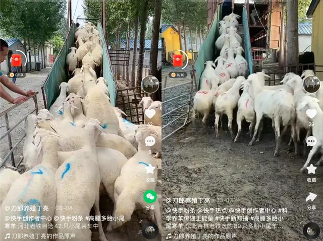 探花流出视频在线观看 快手语录短句霸气，快手语录短句霸气_生活？