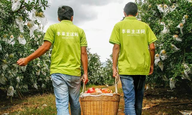 丝袜足交福利网址视频 蔬菜电商平台怎么做账，蔬菜电商平台怎么做账务？