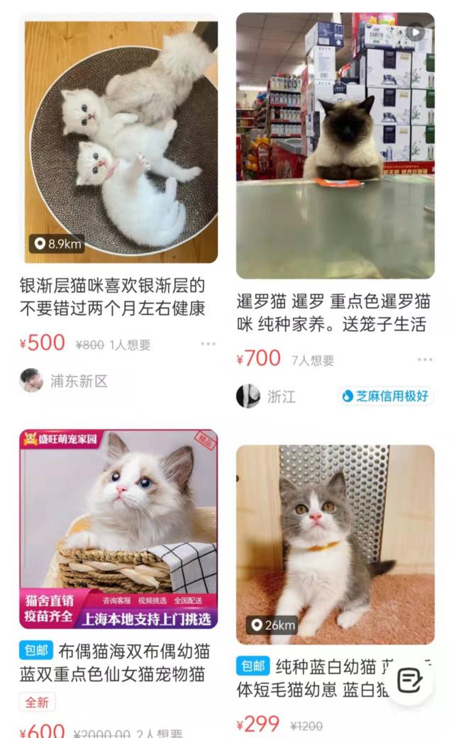 丝袜足交福利网址视频 闲鱼卖东西有没有手续费，闲鱼卖东西有没有手续费啊