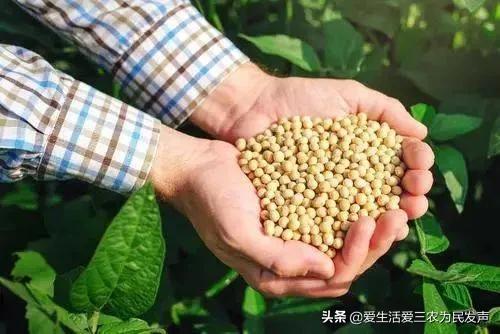 探花流出视频在线观看 政府补贴项目查询2020，政府补贴项目查询2020情况？