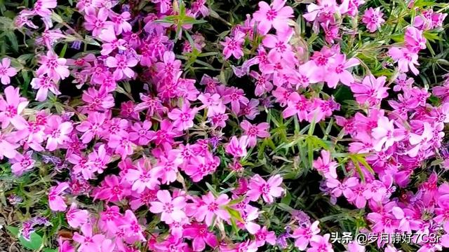 快看点注册自媒体怎么发视频赚钱快看点，快看点怎么发布视频怎么挣钱？