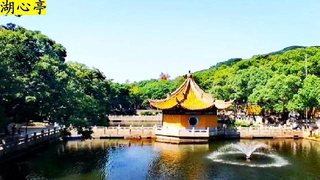 丝袜足交福利网址视频 普陀山在哪里哪个省份哪个市（普陀山在哪个省哪个市）