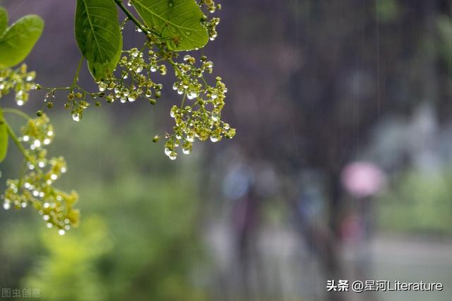 探花流出视频在线观看 倾盆大雨的说说发朋友圈图片，倾盆大雨的说说发朋友圈图片大全？