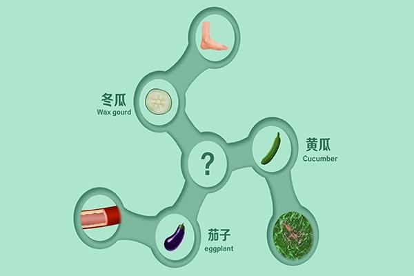 四虎免费在线观看白丝 胆囊结石手术费用大概多少（胆囊炎胆囊结石做手术要多少钱）
