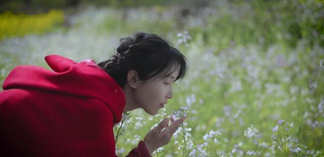 探花流出视频在线观看 李子柒创业成功案例分析，李子柒创新创业项目案例分析