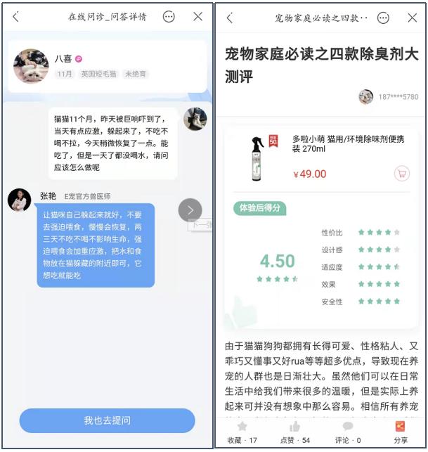 丝袜足交福利网址视频 宠物店创业ppt模板免费，宠物店创业计划书市场营销计划？
