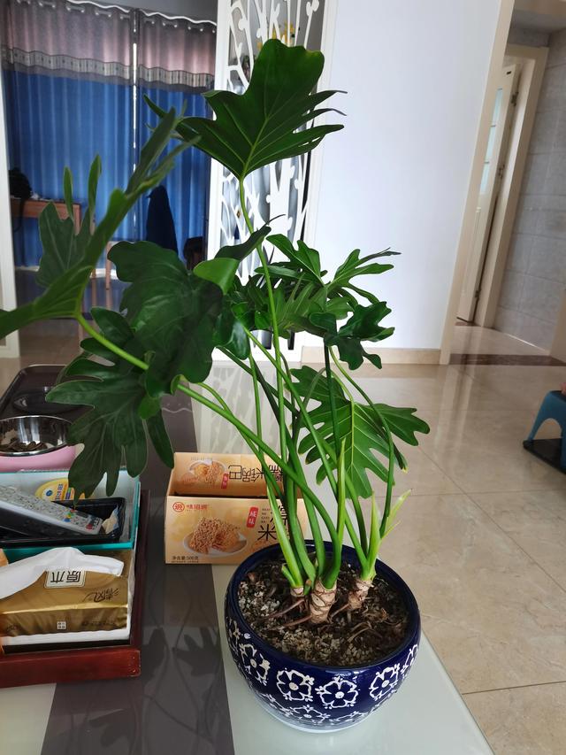 丝袜足交福利网址视频 急得直哭仿写词语玩得什么（急得直哭仿写词语第一个字是急的）