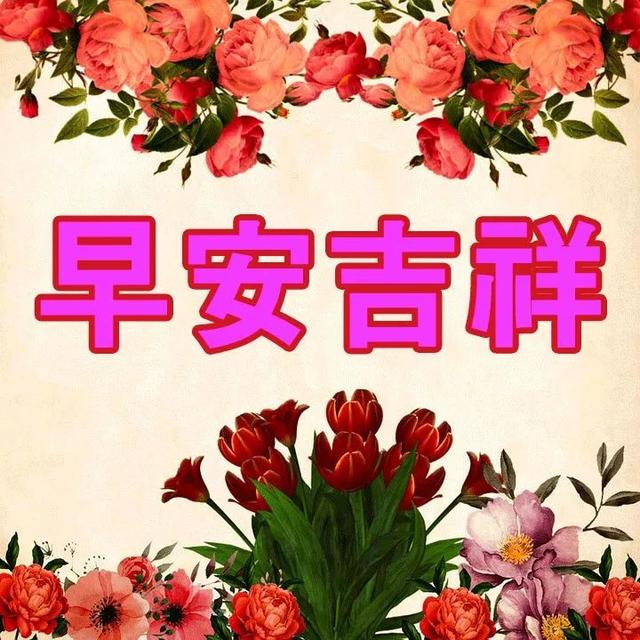 探花流出视频在线观看 早上好的朋友圈说说正能量，早上好的朋友圈说说正能量带图片？