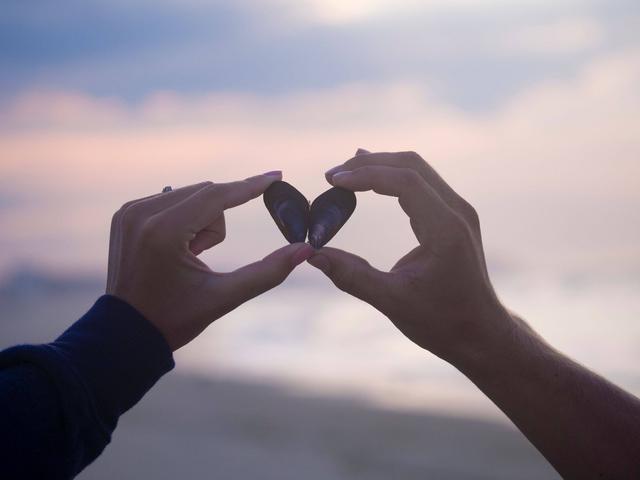 探花流出视频在线观看 公司组织机构代码怎么查询，组织机构代码查询