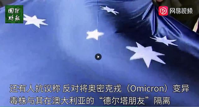 四虎免费在线观看白丝 作文捉蚊子趣事（蚊子的一百种死法作文）