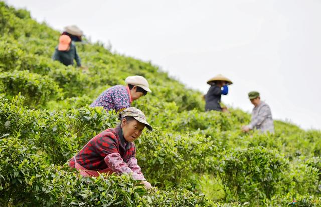 四虎免费在线观看白丝 开店庆典邀请函怎么说，新店开业请人吃饭邀请函？