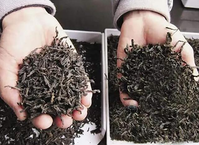 丝袜足交福利网址视频 茶叶店怎么做生意（做茶叶生意注意什么）
