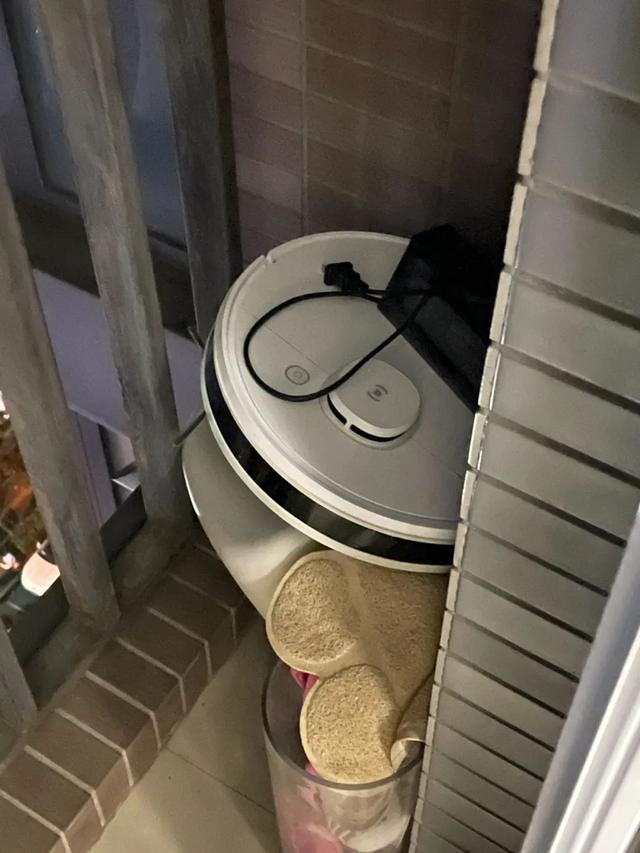 四虎免费在线观看白丝 淘宝喵币第二天会清零吗，喵币当天会清零吗？