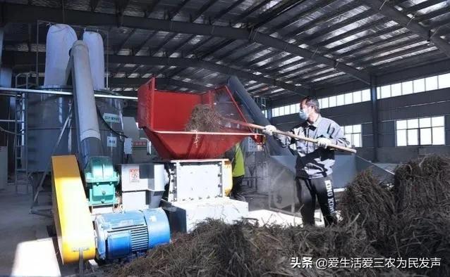探花流出视频在线观看 政府补贴项目查询2020，政府补贴项目查询2020情况？