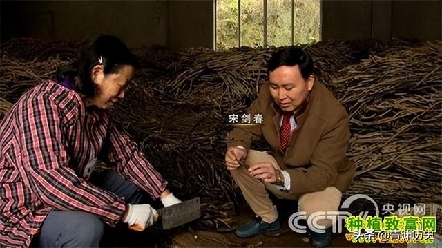 四虎免费在线观看白丝 走投无路了找快速赚钱路子2020（走投无路了怎么快速赚钱）