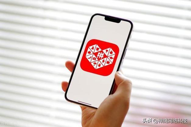 探花流出视频在线观看 拼多多怎么开网店详细步骤教程，拼多多开店教程？