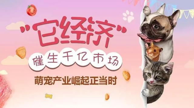 探花流出视频在线观看 副业赚钱的，副业赚钱的路子有哪些？